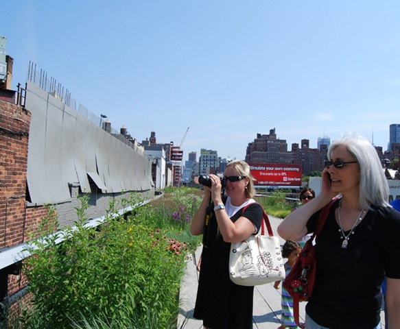 [DSC_0210 copy 2[4].jpg]